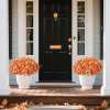 🔥Last Day Promotion 50% OFF🔥OFF-UV-Resistant Artificial Flowers  for Fall Decor