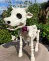 🐮💀Handmade Cow & Horse Skeleton Halloween Decorative Prop