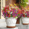 🌸Mother's Day Hot Sale 50% OFF-UV Resistant Colorful Artificial Flower