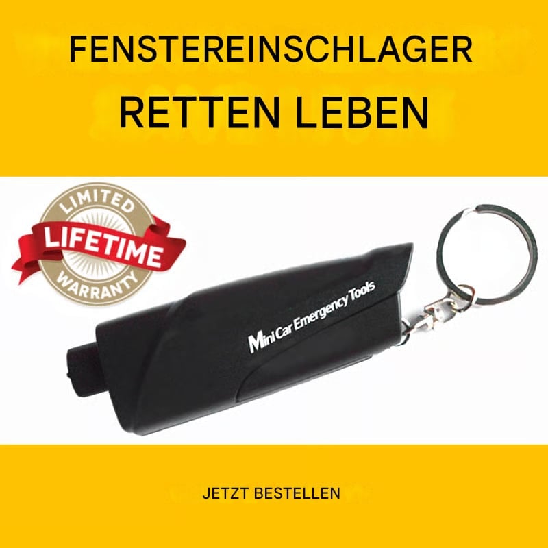 🔥Letzter Tag 49% Rabatt🔨2-in-1 Notfall-Fensterbrecher & Schneide