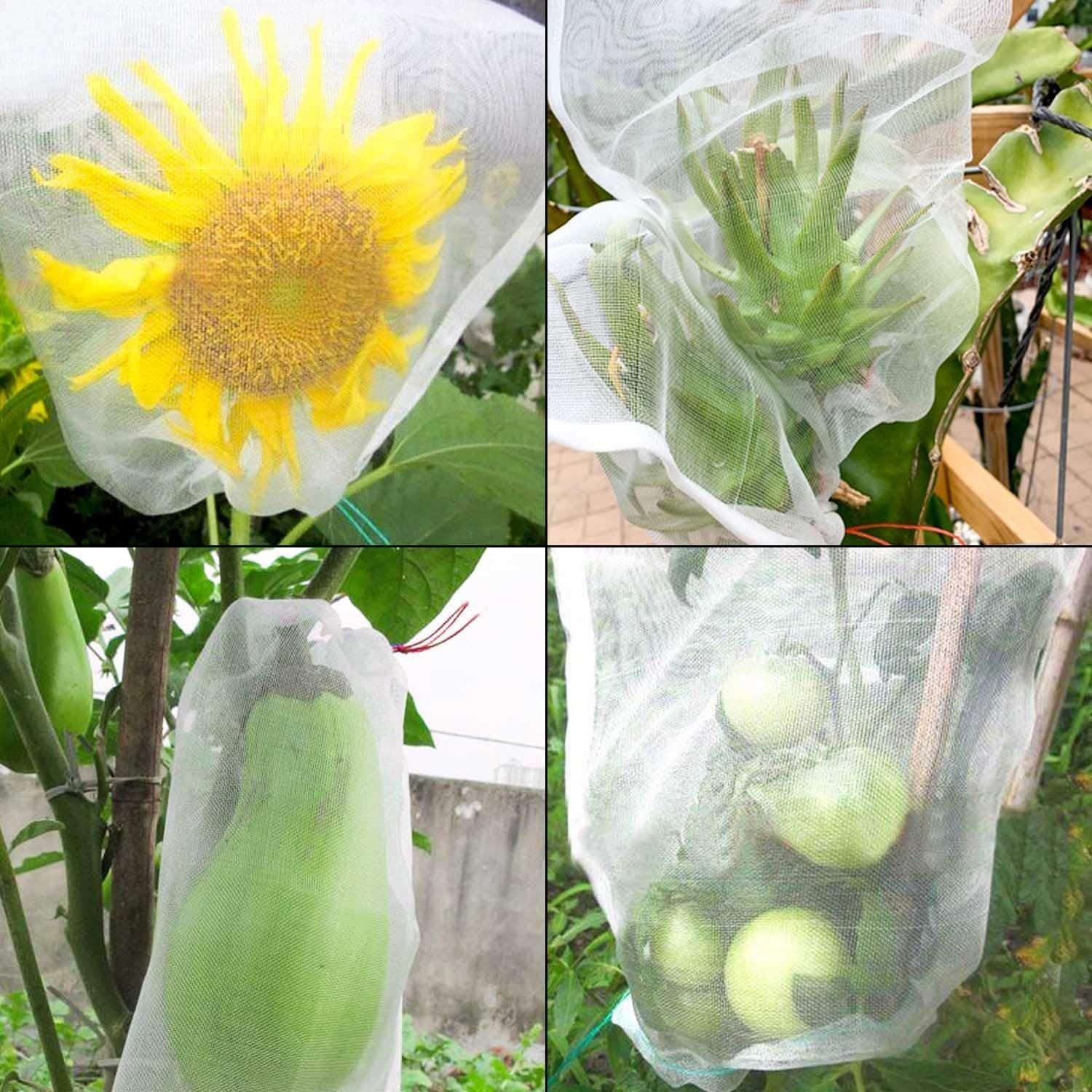 🔥Last Day Promotion 50% OFF - Fruit Vegetable Insect Proof Mesh Bag