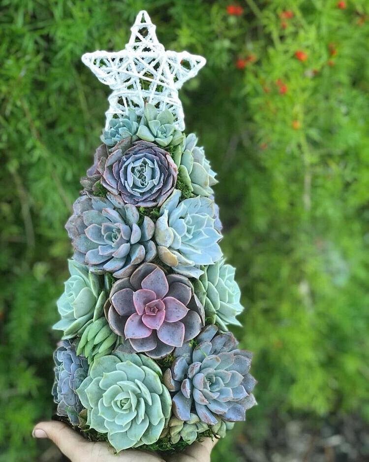 (🎁EARLY CHRISTMAS SALE - 50% OFF) 🎄Handcrafted Succulent Art Tree, Buy 2 Free Shipping Only Today