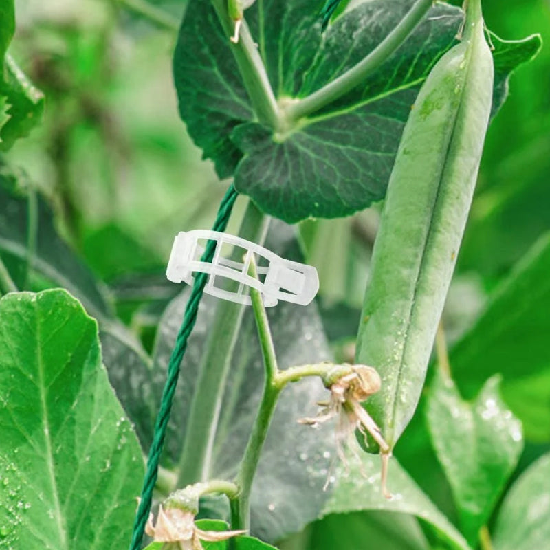 Last Day Promotion - 🔥Plant Support Clips