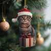 🐱🎁Christmas Cat Ornaments