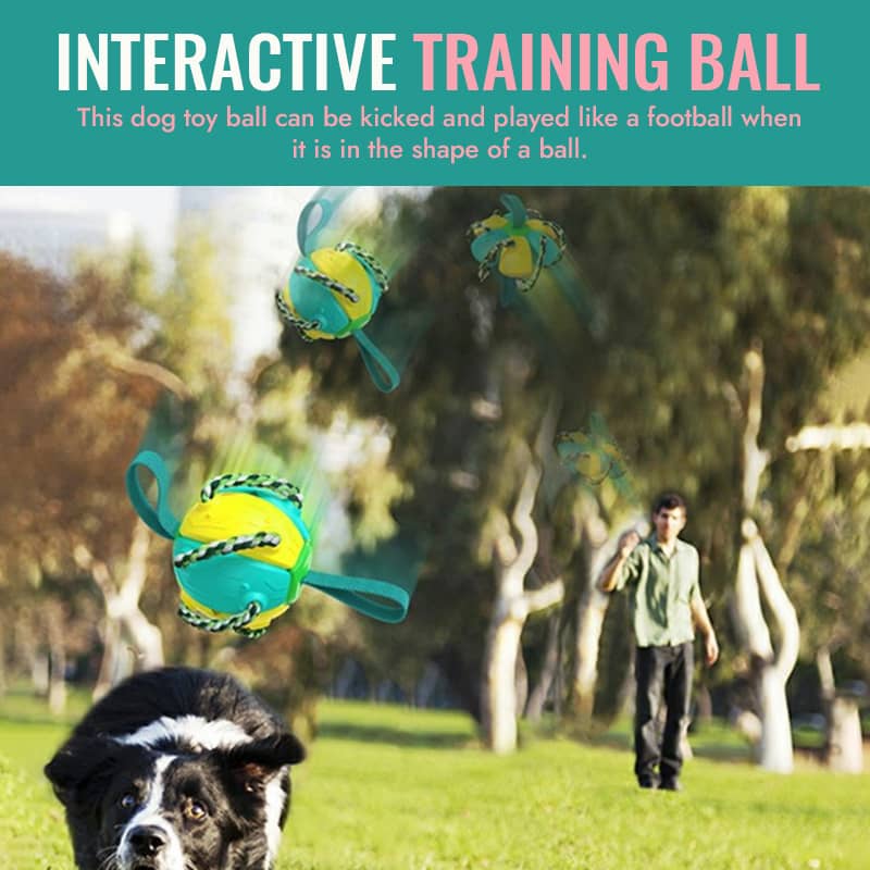 Mother's Day Limited Time Sale 70% OFF💓Interactive Flying Disk Ball Dog Toy🐾