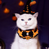 Whimsical Pumpkin & Purple Elegance Halloween Pet Hat