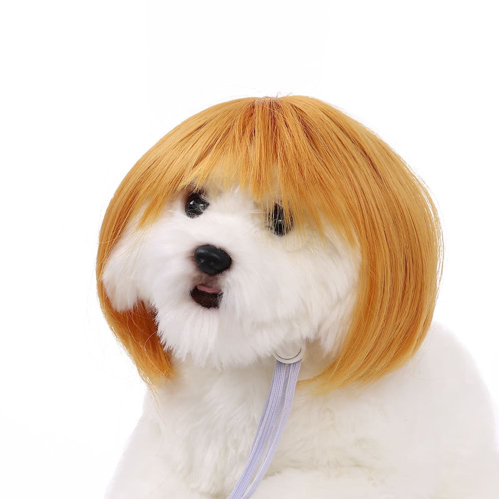 💥LAST DAY SALE 50% OFF💥Funny Pet Wig