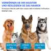 🐾Haustierspray Haarentfernungskamm🐶