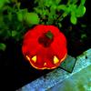 🎃Holiday sales🔥A very fun must-have solar pumpkin patch light for Halloween
