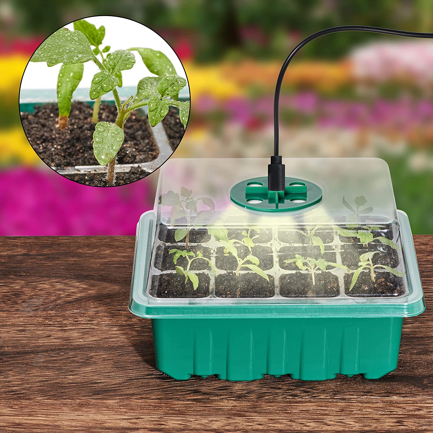 🔥Last Day Promotion 50% OFF🔥Seed Starter Trays with Grow Light