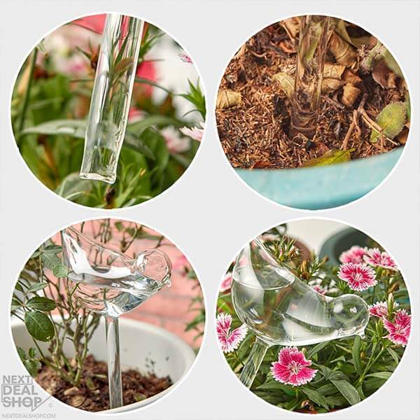 (Mother's Day Sale- 48% OFF)Self-Watering Plant Glass Bulbs - Buy 4 Get Extra 10% OFF & Free Shipping