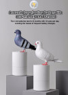 Pigeon Hand Sanitizer Dispenser | Intelligent Automatic Sensor (✨Free Shipping✨)