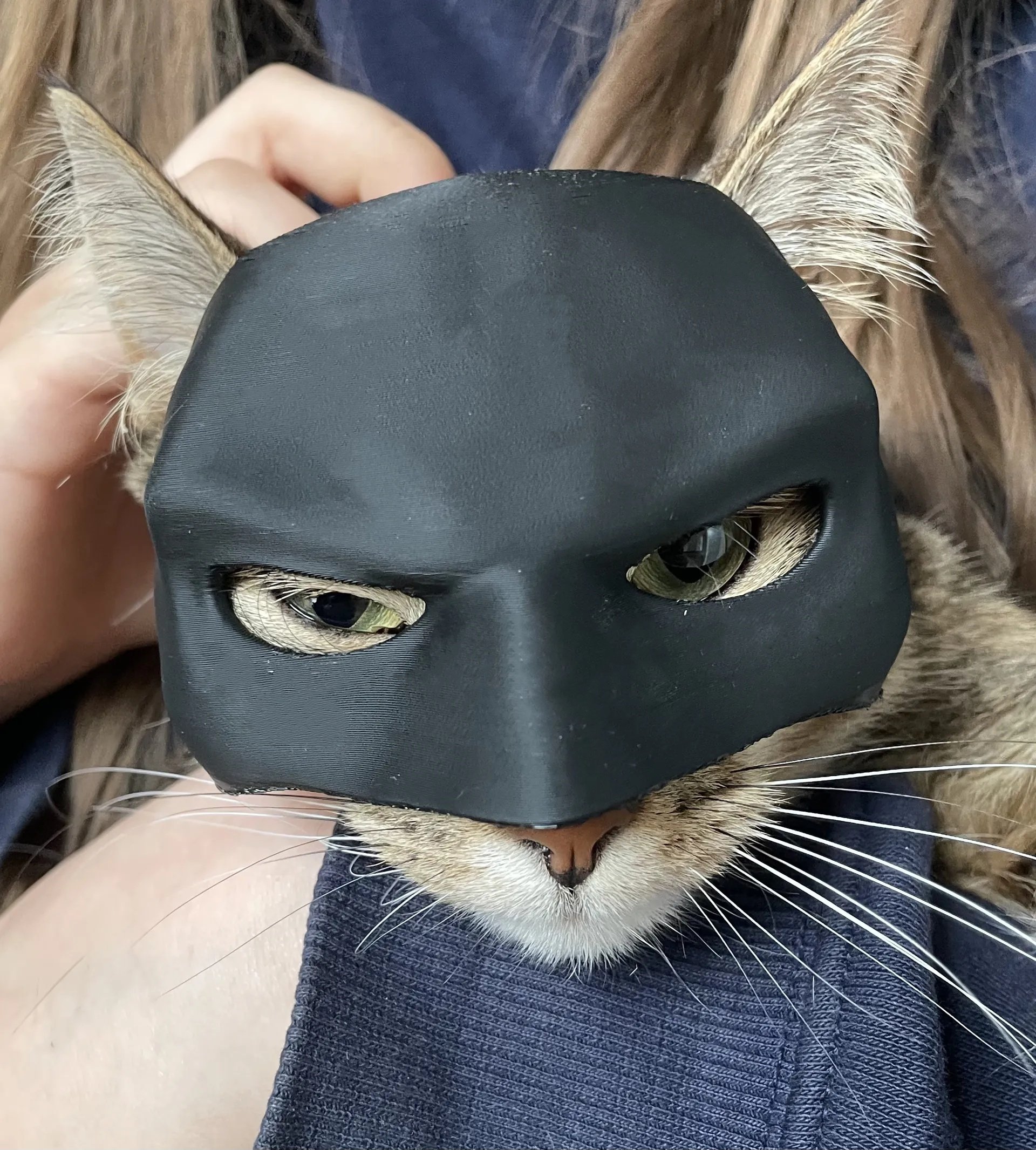 BUY 2 GET 1 FREE🦇Halloween Cat Cos Mask