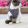 LAST DAY SALE-49% OFF-Cat Dogs Vest Harness and Leash Anti-break Away Chest Strap Cat Clothes