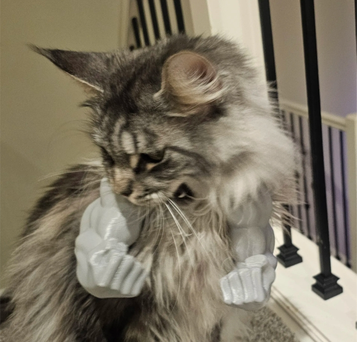 💥3D Printed Spoof Cat Hanging Neck Muscle Arm