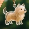 Dog Hair Collector Keychain Charm Memorial Storage Box