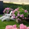 🔥Last Day Promotion 50% OFF💐Outdoor Artificial Hydrangea Flowers