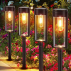 🔥Last Day Promotion 50% OFF💥Solar Pathway Lights
