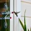 (🔥Last Day Promotion- SAVE 48% OFF)Geometric Window Hummingbird Feeder(Buy 3 Get Extra 20% OFF now)