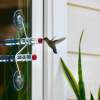 🔥Handmade Geometric Window Hummingbird Feeder-Buy 2 Get Free Shipping