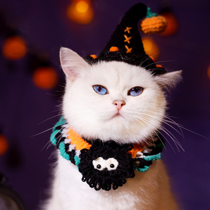 Whimsical Pumpkin & Purple Elegance Halloween Pet Hat