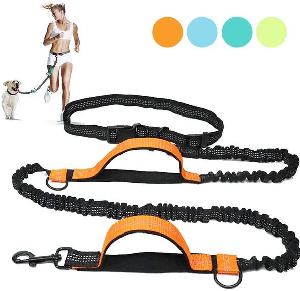 🔥Last Day Promotion 70% OFF-Retractable Hands Free Dog Leash(🔥Buy 4 Get Extra 20% OFF & Free Shipping)