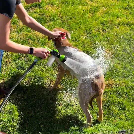 (🔥Last Day Promotion 50% OFF) The Pup Jet Garden Watering Jet