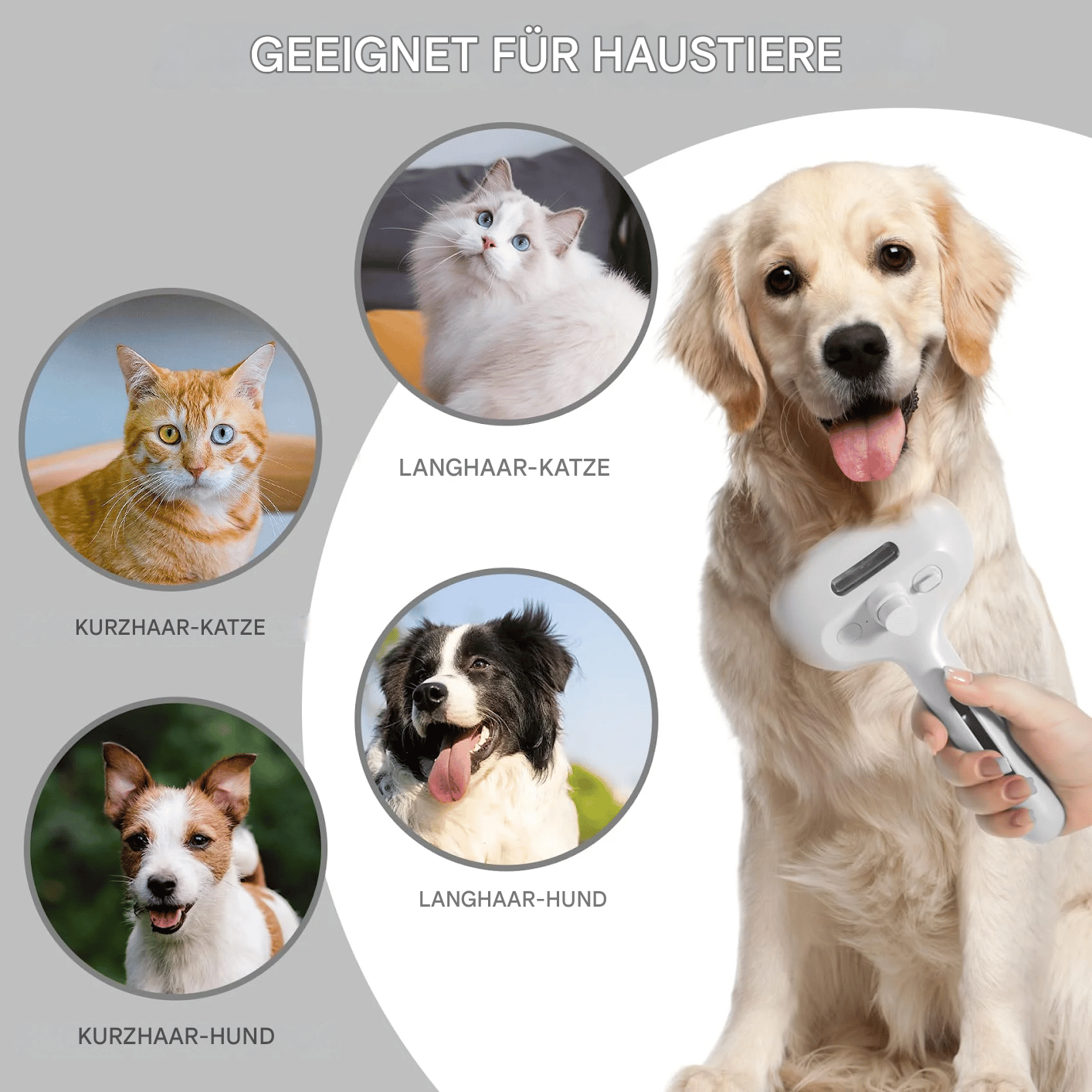 🔥Letzter Tag Verkauf 49% Rabatt 🔥Selbstreinigende Katzen-Spraybürste zum Haaren