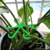 Last Day Promotion 70% OFF - 🌿Plant Stem Support Set