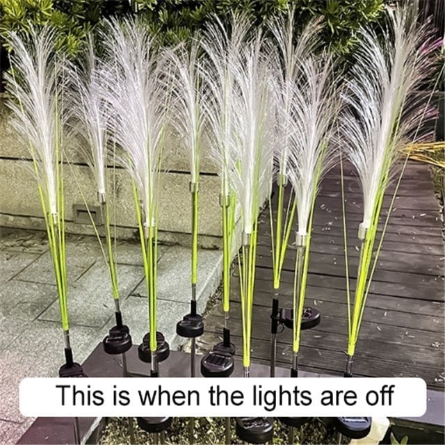 🔥LAST DAY 50% OFF🔥Reed Fiber Optic Light[Outdoor Solar Garden Lights]