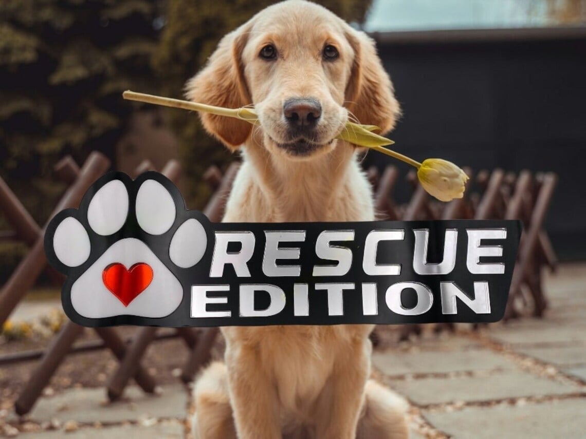 Laser-Cut Dog Car Emblem