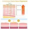 New Upgraded Formula - Whitening Speckle Thinning Essential Oil