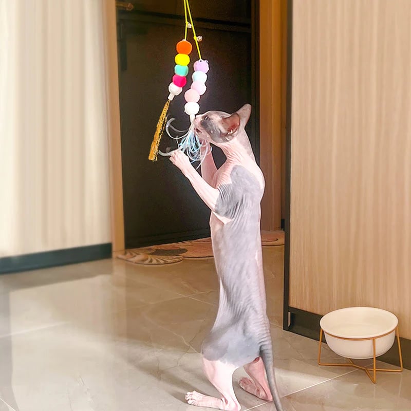 💥LAST DAY SALE 50% OFF💥Hanging Bouncing Cats Toy⚡BUY 1 GET 1 FREE