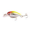 Minnow Fishing Lure