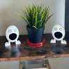 Feed Eggs Egg I Eggman Game Desk Decor | Funny Gifts