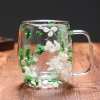 🎁TikTok Last Day Sale - 70% OFF🎄🌸Transparent Double Glass Flower Tea Cup