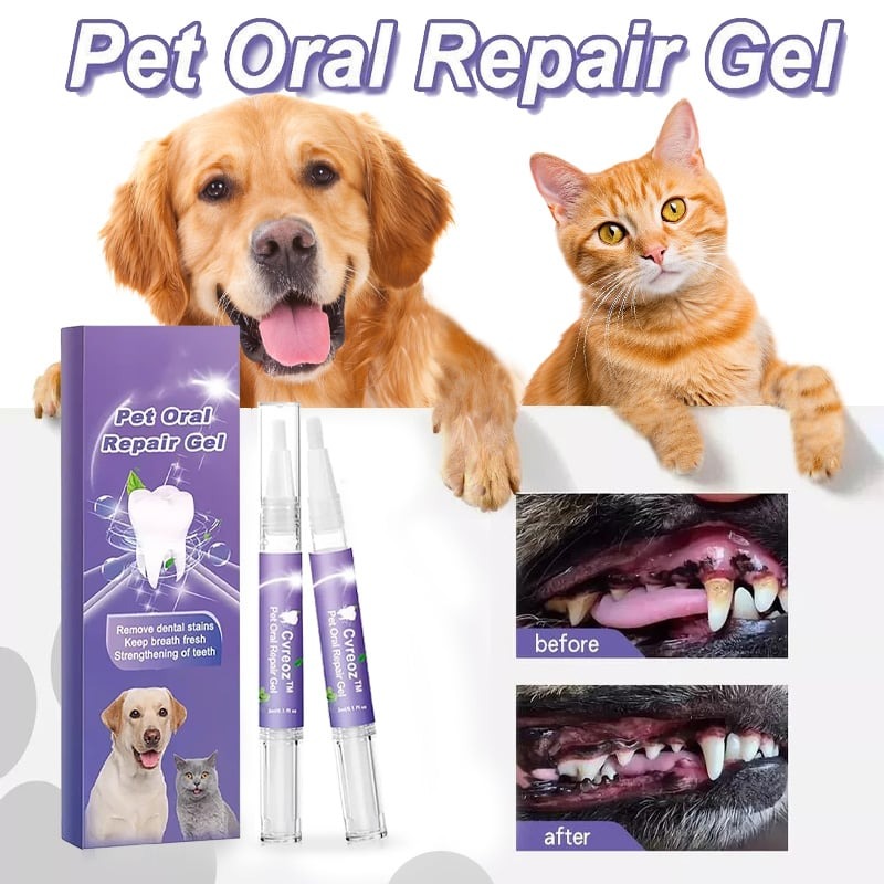 Eptchn Pet Dentify