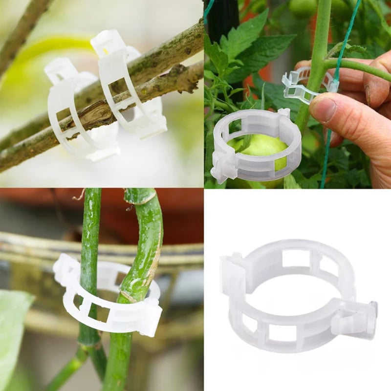 💥LAST DAY SALE 50% OFF💥Plant Growth Support Clips