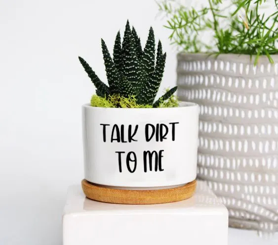 🔥New Year Promotion 50% Off-🌱Funny Plant Pot