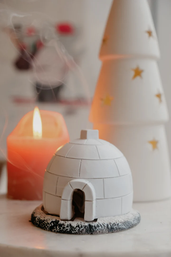 🎄(🔥Black Friday Sale: Save $20)🎄 🏠Christmas igloo