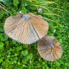 🍄 Whimsical Garden Art | Handcrafted Mushroom Sculpture