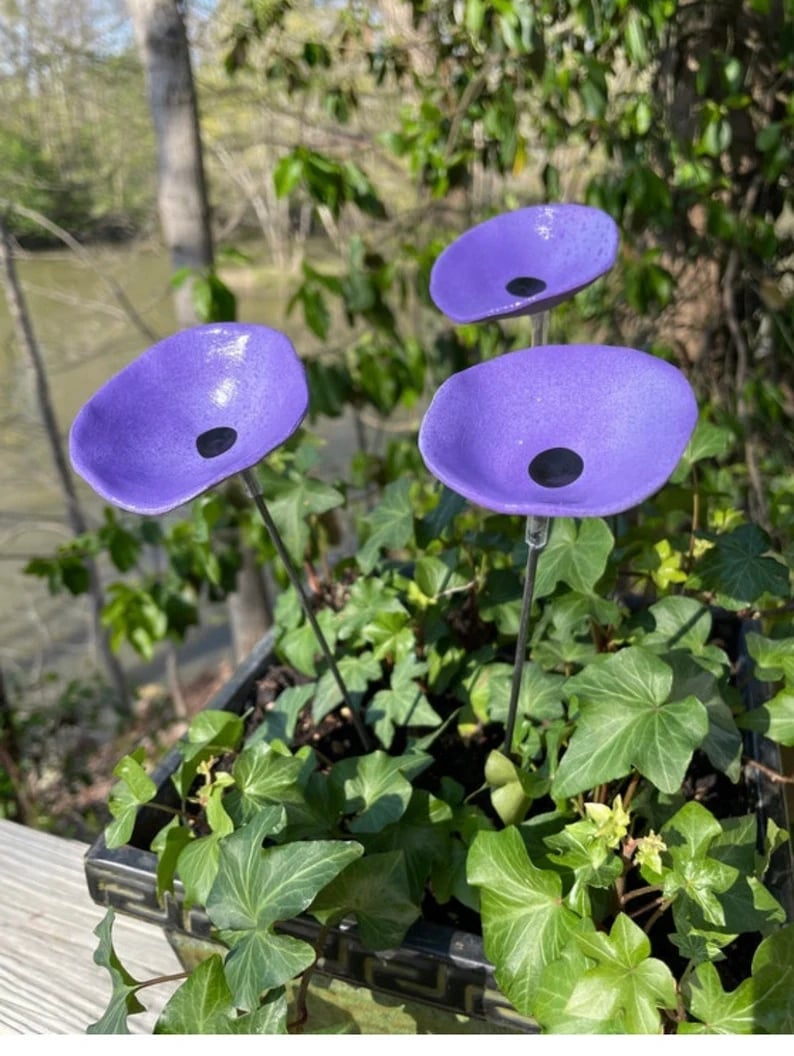 🎖️July 4th Flash Sale: 70% OFF Sitewide! 🐝Bee Watering Station,🦋Butterfly Puddler,Hummingbird Drinking Cups
