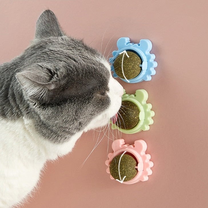 🔥Last Day Promotion 70% OFF-🔥-PurrPurr™ Catnip Ball - Free Today!