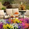 🔥Last Day 70% OFF- Outdoor Artificial Flowers💐