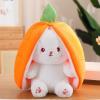 🔥Last day promotion 50% off🔥Kawaii Fruit Vegetable Rabbit Doll