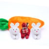 🔥Last Day Promotion 70% OFF🔥Hide-and-Seek Bunnies in Carrot Pouch