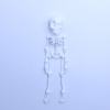 💥LAST DAY SALE 50% OFF🎃3D Printed Vintage Skeleton Magnetic Figurine