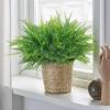 (🔥Last Day Promotion 50% OFF) UV Resistant Lifelike Artificial Boston Fern