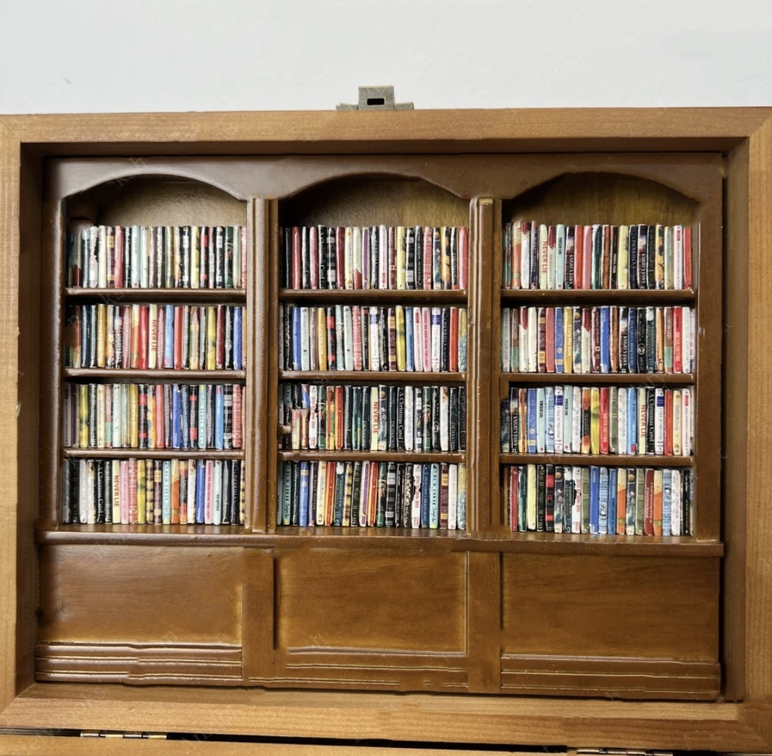 🎄EARLY CHRISTMAS SALE 50% OFF🔥Handmade Anxiety Bookshelf | Shake Away Your Anxiety