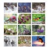 📅Becorns 2025 Calendar: Forest Folk